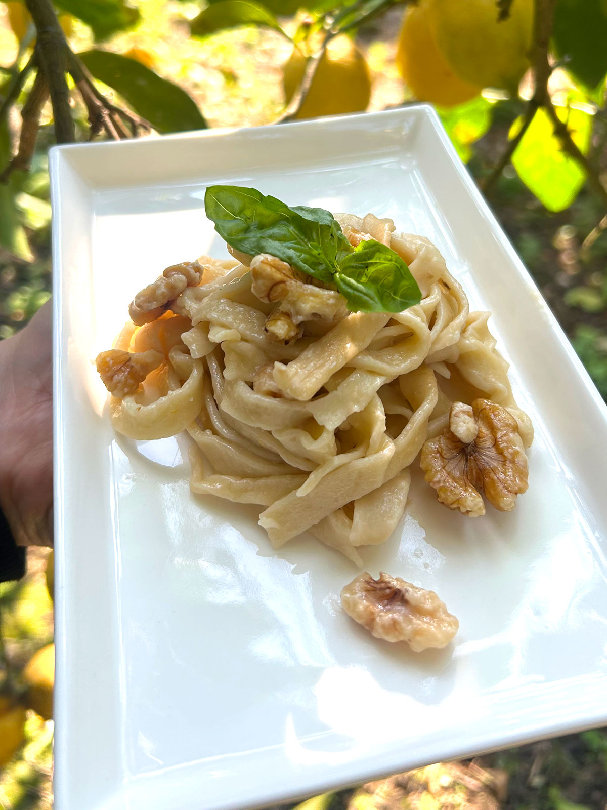 Tagliatelle home made pasta with walnuts and lemon - Sorrento Garden Kitchen Tagliatelle home made pasta with walnuts and lemon - Sorrento Garden Kitchen - Cooking Classes